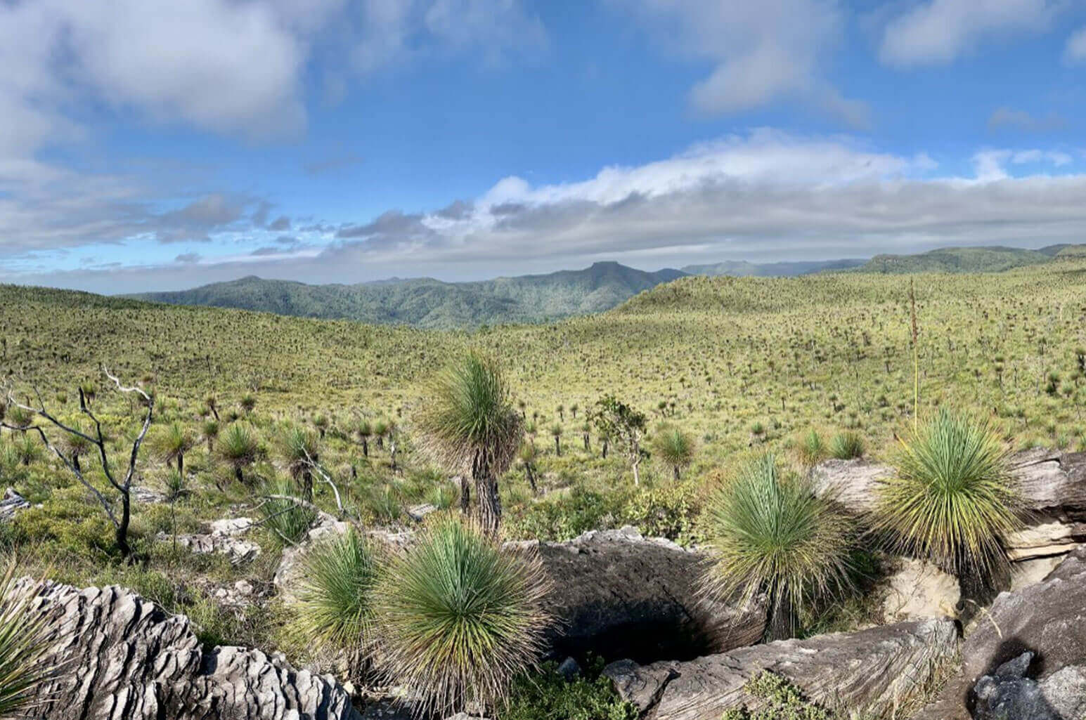 A panoramic view of a desert landscape featuring scattered yucca plants amidst rocky terrain. The scene is framed by rolling hills and a partly cloudy blue sky, creating a vast, serene, and open atmosphere.