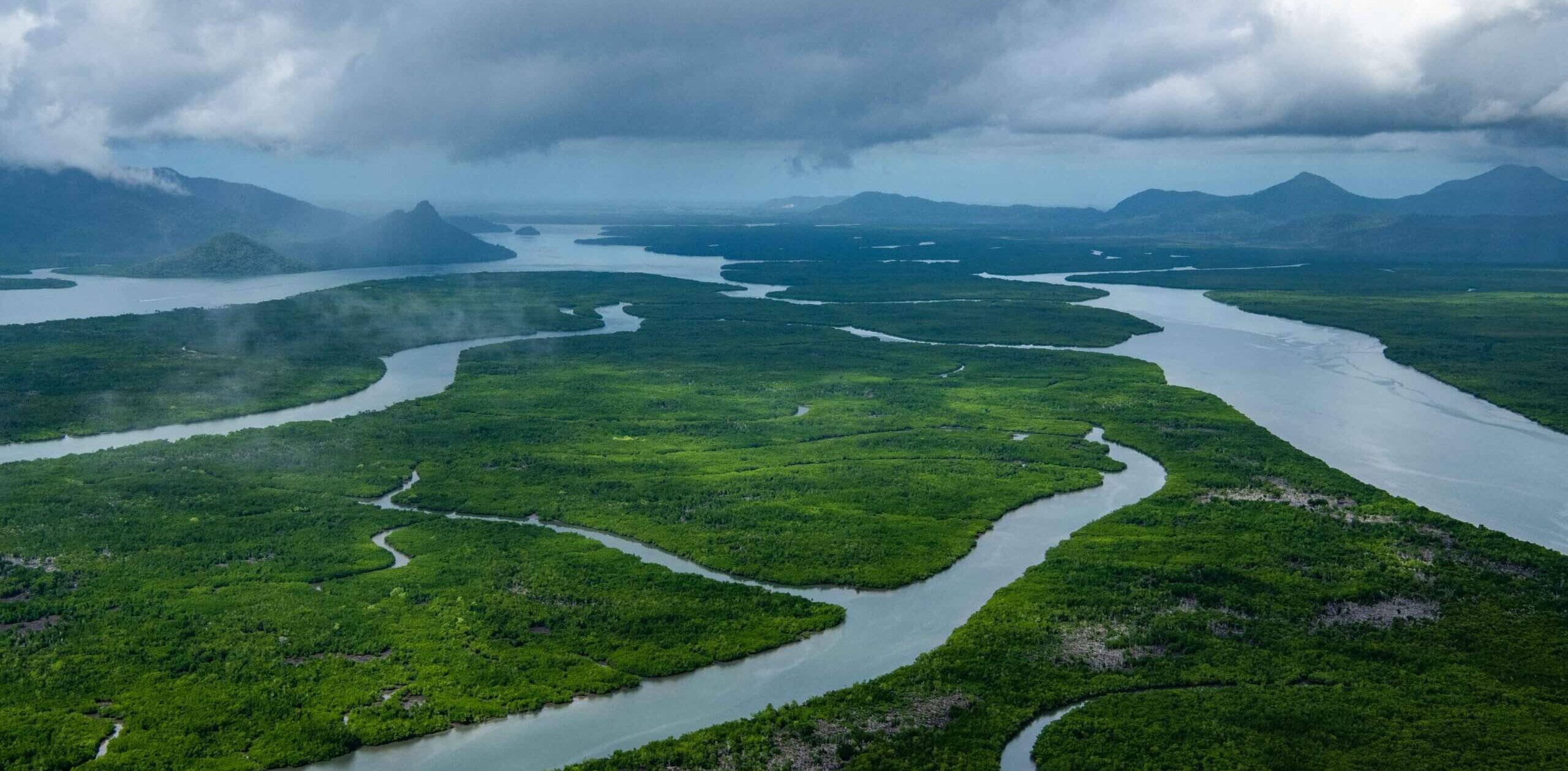 Aerial view of a lush green rainforest with winding rivers, under a cloudy sky. Mountains are visible in the background, adding depth to the expansive landscape.